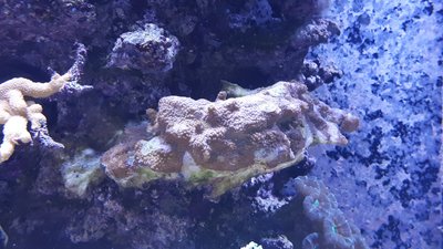 20190226_191437.jpg