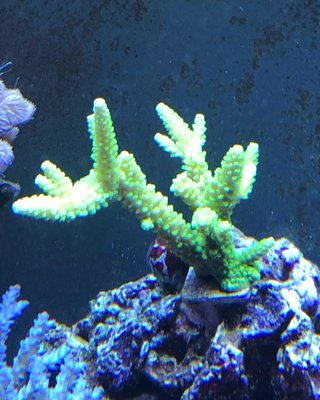 IMG_01032019134811.jpg