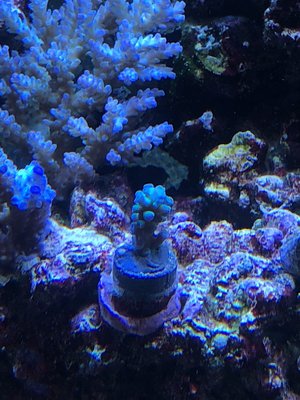 IMG_21032019200122.jpg