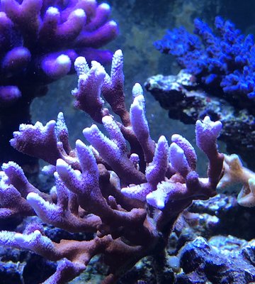 IMG_21032019201708.jpg