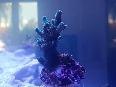 20190518_160139-2016x1512.jpg