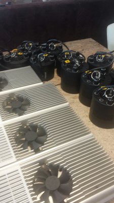 20151017_130528_resized.jpg (639.59 KiB) 8293 mal betrachtet Grössenvergleich zu vorher