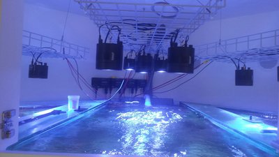 20151017_141021_resized.jpg (698.46 KiB) 7757 mal betrachtet Einfache Montage