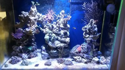 20151108_085541.jpg