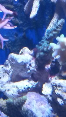 20151108_085525.jpg