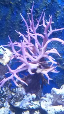 20151108_085511.jpg