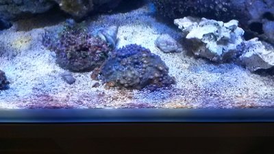 20151108_085500.jpg
