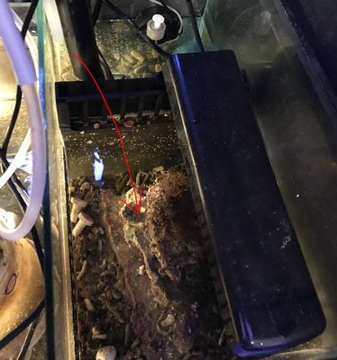 sump.JPG