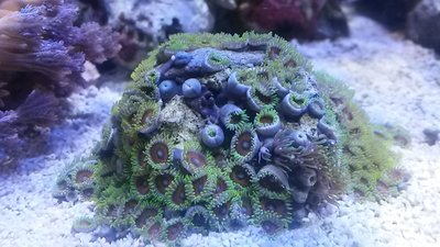 20151025_143136.jpg