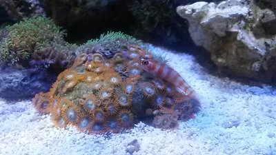 20151025_143119.jpg