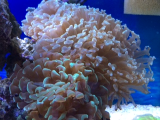 image16.jpeg