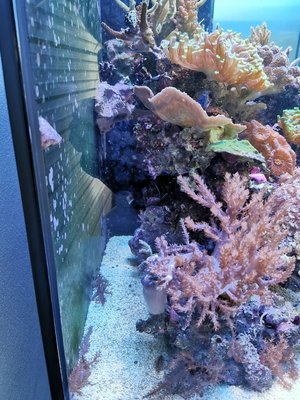 AquariumSeite.jpg
