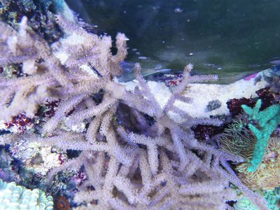 AquariumHinten.jpg