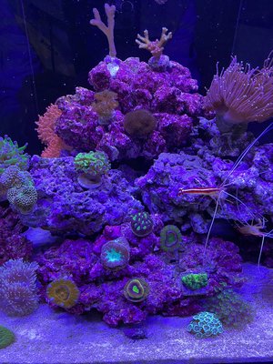 IMG_7611 (1).jpeg