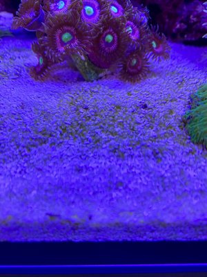IMG_7617 (1).jpeg