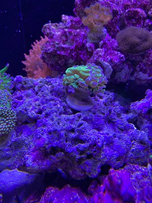 IMG_7619 (1).jpeg