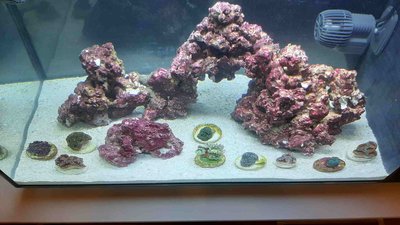 20200911_110155_compress37.jpg