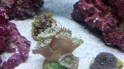 20200911_155153_compress45.jpg