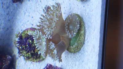 20200911_141441_compress4.jpg