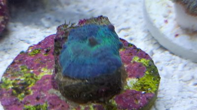 20200911_110348_compress26.jpg