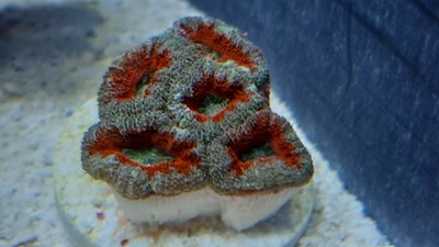 20200911_141550_compress41.jpg