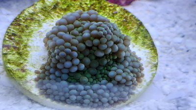 20200911_141526_compress15.jpg
