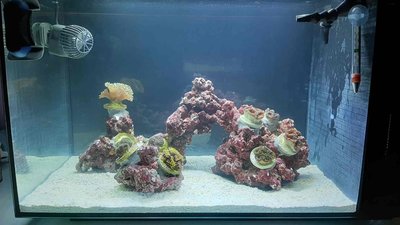 20200912_162510_compress5.jpg