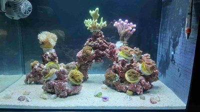 20200917_121315_compress29.jpg