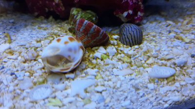 20200920_134229_compress7.jpg