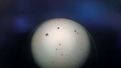 20200920_131552_compress28.jpg