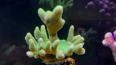 20200921_153321_compress2.jpg