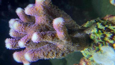 20200921_153338_compress76.jpg