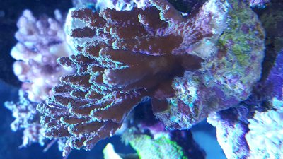20151112_101427.jpg