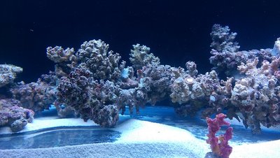 IMAG0706.jpg