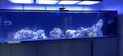 D077D31E-12FD-47D1-845F-A12D9C3579FF.png