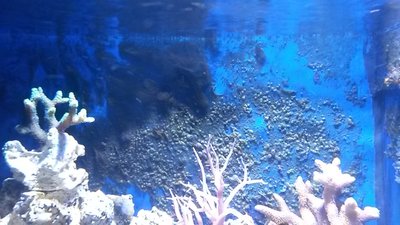 20151113_195537.jpg