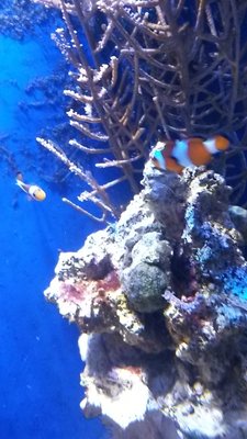 20151113_195558.jpg