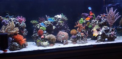 20151114_12_0002.jpg