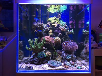 IMG_0075 (1).jpg