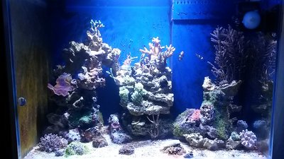 20151122_183052.jpg