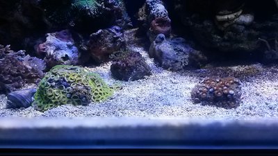 20151122_183108.jpg