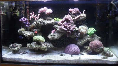 2015-11-27.JPG