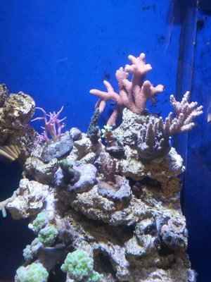 20151128_111729.jpg