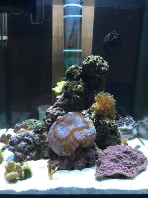 IMG_7541.jpg