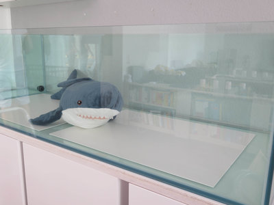 20150711_Flachriff-1.jpg