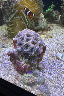 IMG_1531.jpeg