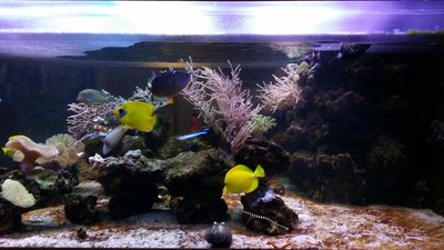 20151202_161051.JPG