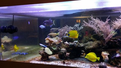20151202_161056.JPG