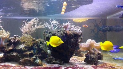 20151202_161117.JPG