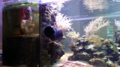 20151202_161122.JPG